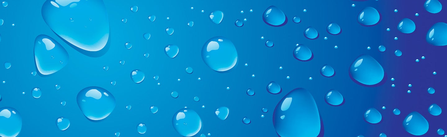 4EvaSeal banner image 